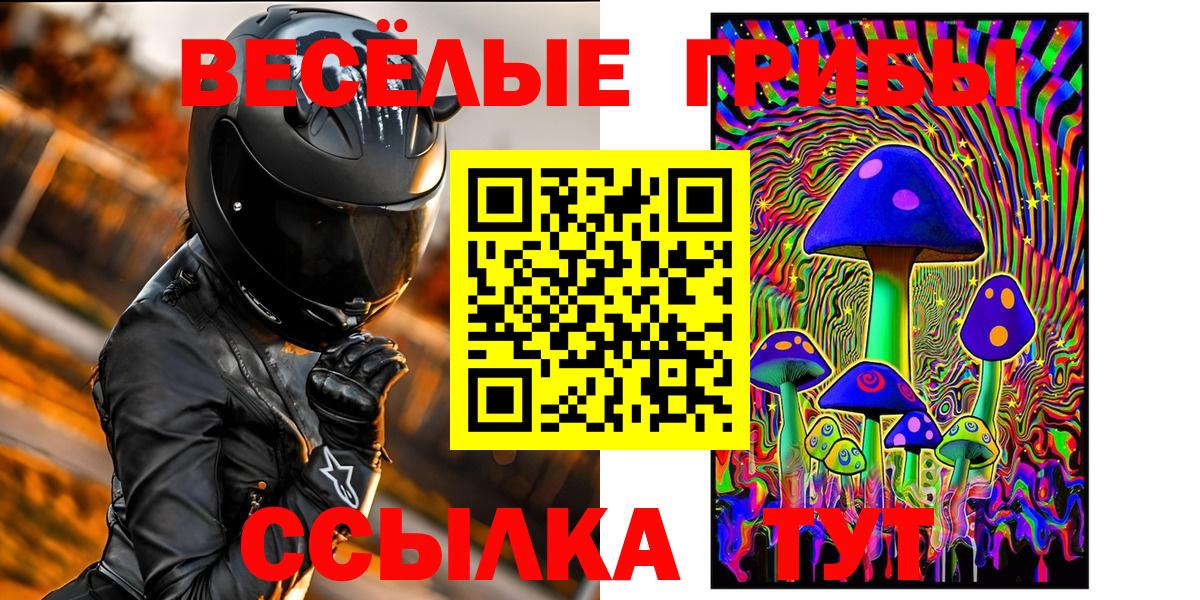 Галлюциногенные грибы GOLDEN TEACHER Славянск-на-Кубани
